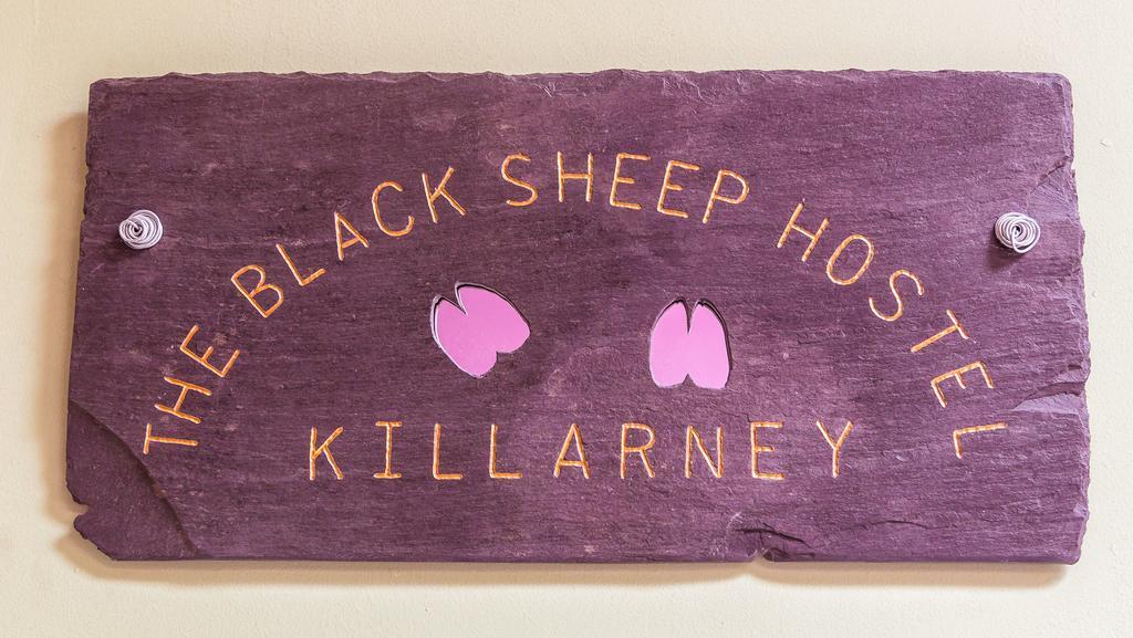 The Black Sheep Hostel Killarney Bagian luar foto